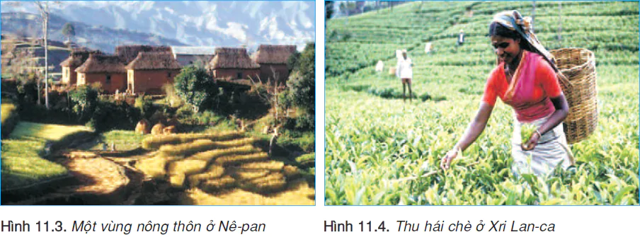 hinh-anh-bai-11-dan-cu-va-dac-diem-kinh-te-khu-vuc-nam-a-2457-2