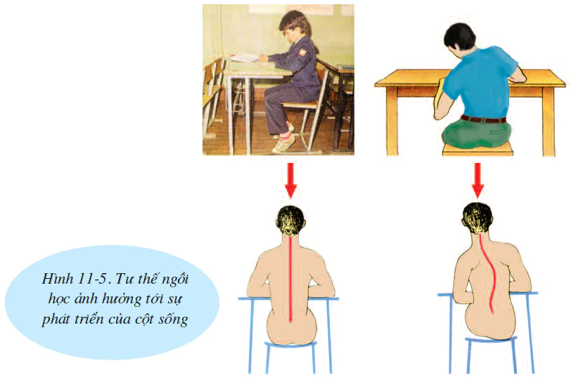 hinh-anh-bai-11-tien-hoa-cua-he-van-dong-ve-sinh-he-van-dong-2502-2