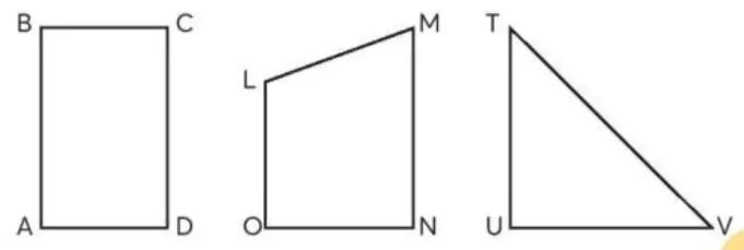 hinh-anh-hinh-tam-giac-hinh-tu-giac-1727-4