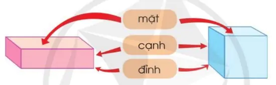 hinh-anh-khoi-hop-chu-nhat-khoi-lap-phuong-1496-1