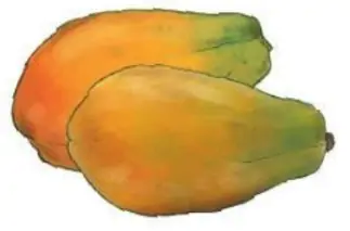 hinh-anh-gam-910-4