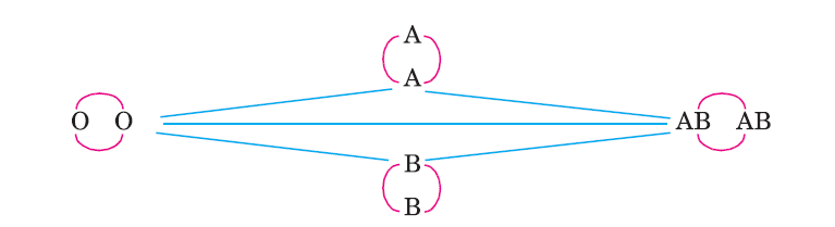 hinh-anh-bai-15-dong-mau-va-nguyen-tac-truyen-mau-2507-2
