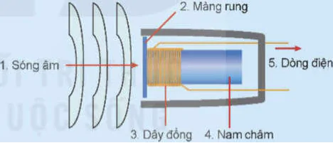 hinh-anh-bai-18-gioi-thieu-ve-dien-tu-tuong-tu-12746-6