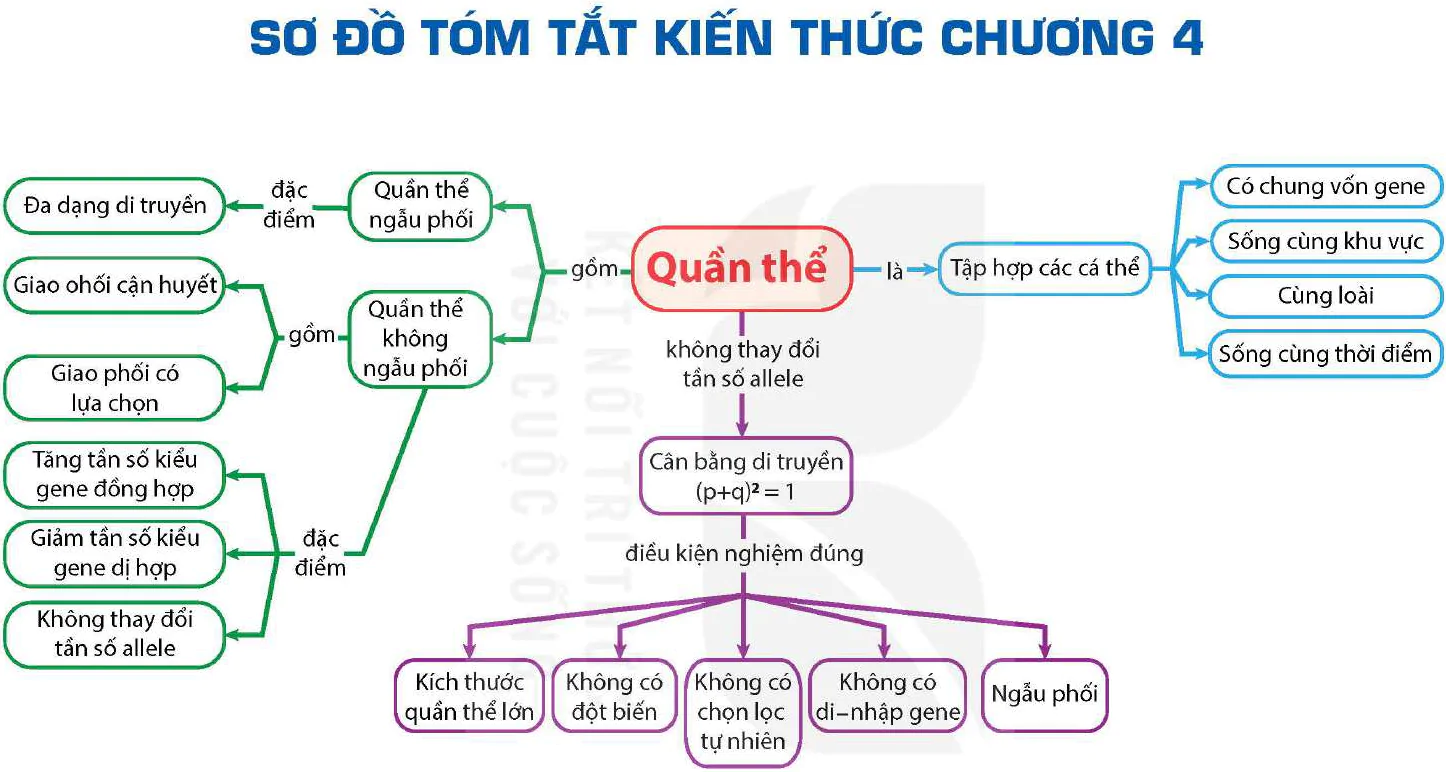 hinh-anh-bai-18-di-truyen-hoc-quan-the-12980-17