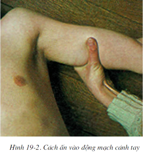 hinh-anh-bai-19-thuc-hanh-so-cuu-cam-mau-2512-1