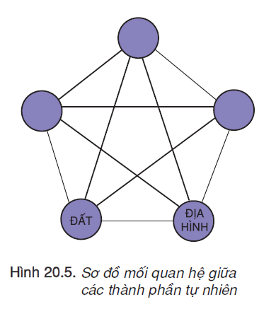 hinh-anh-bai-20-khi-hau-va-canh-quan-tren-trai-dat-2466-4