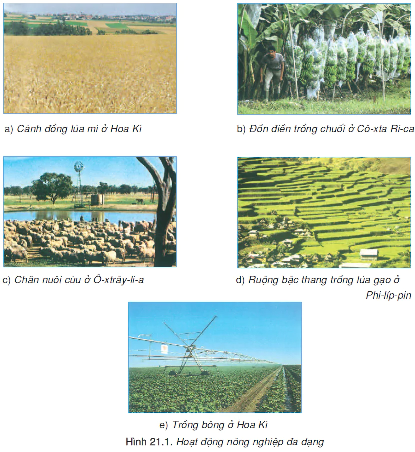 hinh-anh-bai-21-con-nguoi-va-moi-truong-dia-li-2467-0