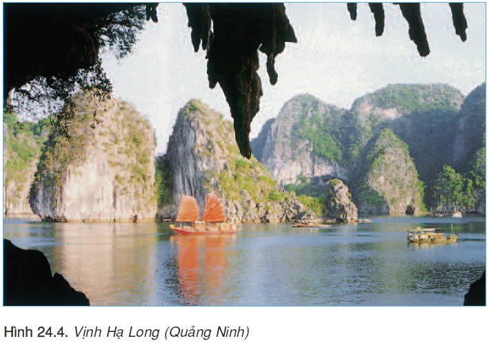 hinh-anh-bai-24-vung-bien-viet-nam-2470-3