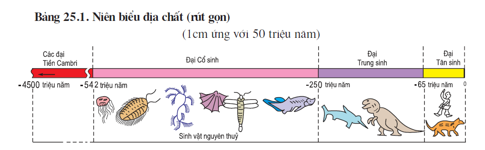 hinh-anh-bai-25-lich-su-phat-trien-cua-tu-nhien-viet-nam-2471-0