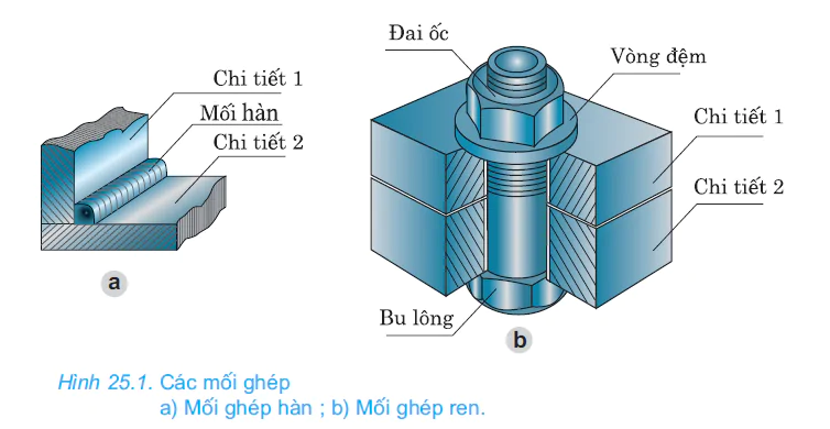 hinh-anh-bai-25-moi-ghep-co-dinh-moi-ghep-khong-thao-duoc-2673-0