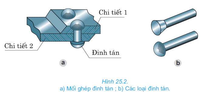 hinh-anh-bai-25-moi-ghep-co-dinh-moi-ghep-khong-thao-duoc-2673-1