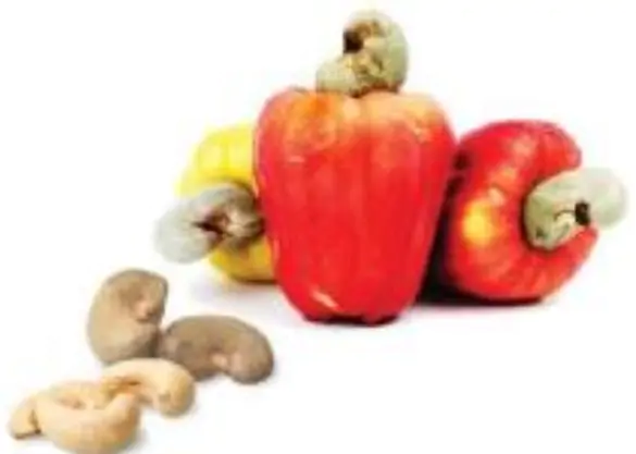 hinh-anh-bang-chia-3-1804-1