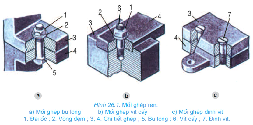 hinh-anh-bai-26-moi-ghep-thao-duoc-2674-0