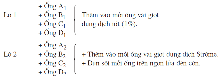 hinh-anh-bai-26-thuc-hanh-tim-hieu-hoat-dong-cua-enzim-trong-nuoc-bot-2520-2