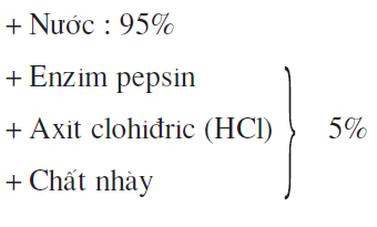 hinh-anh-bai-27-tieu-hoa-o-da-day-2521-2