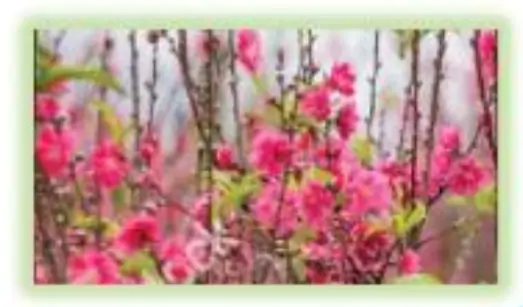 hinh-anh-bang-chia-4-1809-1