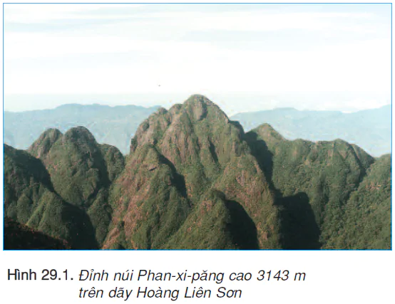 hinh-anh-bai-29-dac-diem-cac-khu-vuc-dia-hinh-2475-0