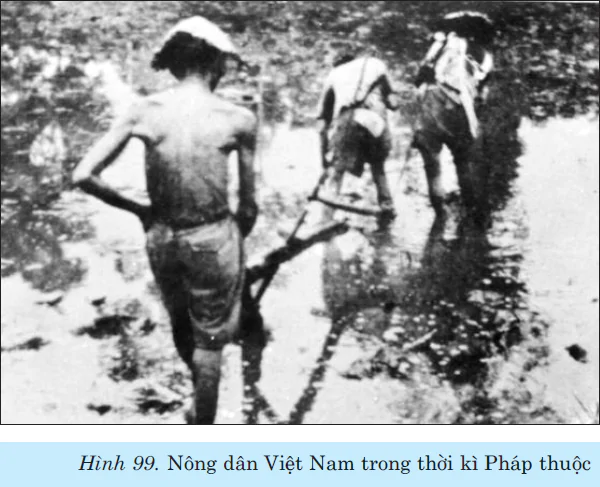 hinh-anh-bai-29-chinh-sach-khai-thac-thuoc-dia-cua-thuc-dan-phap-va-nhung-chuyen-bien-ve-kinh-te-xa-hoi-o-viet-nam-2430-1