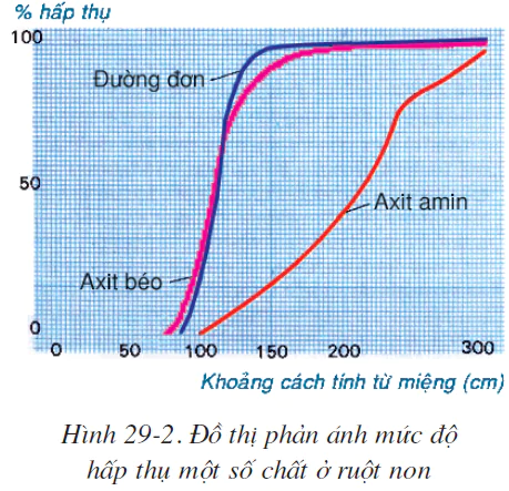 hinh-anh-bai-29-hap-thu-chat-dinh-duong-va-thai-phan-2522-1