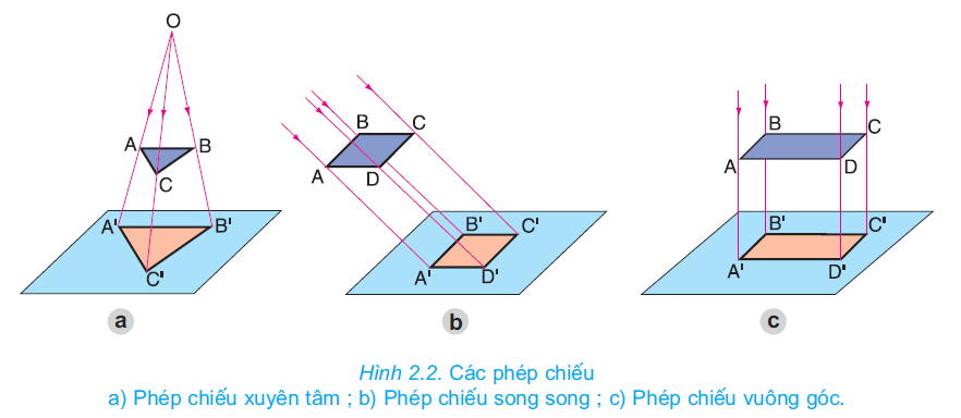 hinh-anh-bai-2-hinh-chieu-2625-1