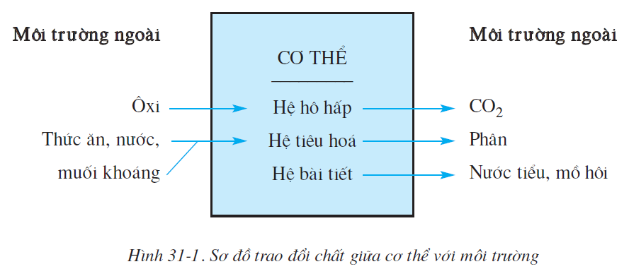 hinh-anh-bai-31-trao-doi-chat-2524-0