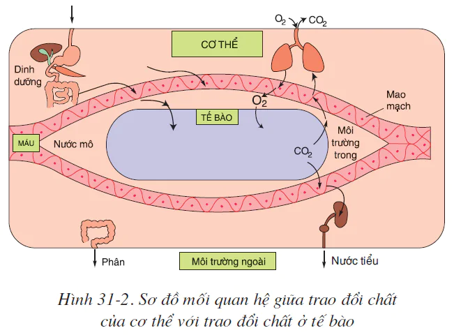 hinh-anh-bai-31-trao-doi-chat-2524-1