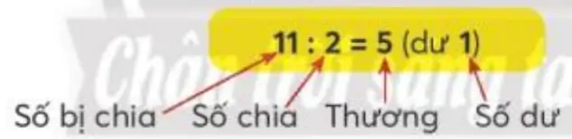 hinh-anh-phep-chia-het-va-phep-chia-co-du-1835-4
