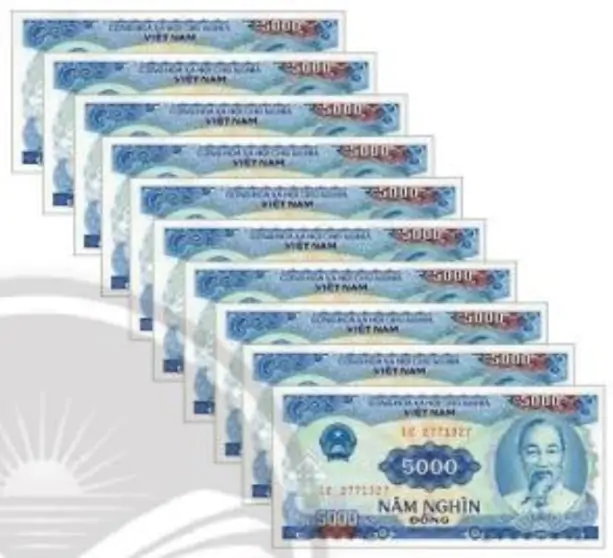 hinh-anh-tien-viet-nam-2031-5