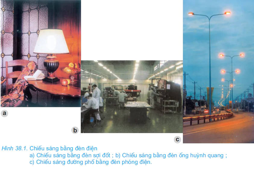 hinh-anh-bai-38-do-dung-loai-dien-quang-den-soi-dot-2689-0
