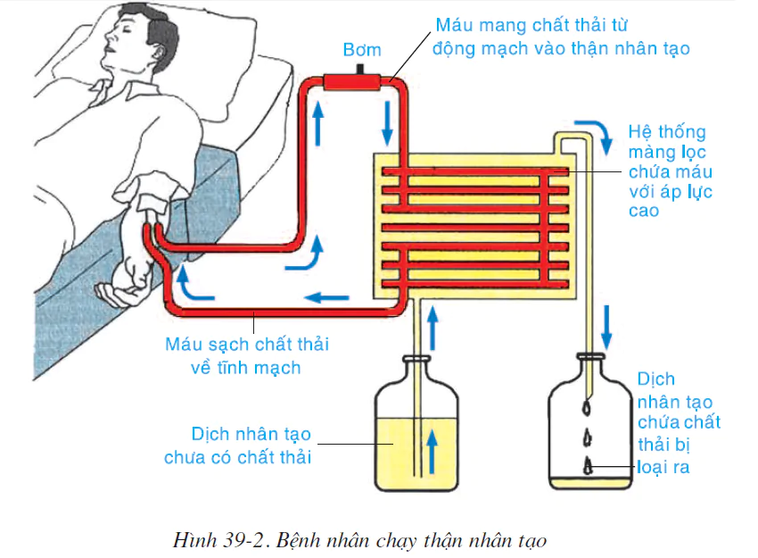 hinh-anh-bai-39-bai-tiet-nuoc-tieu-2536-1