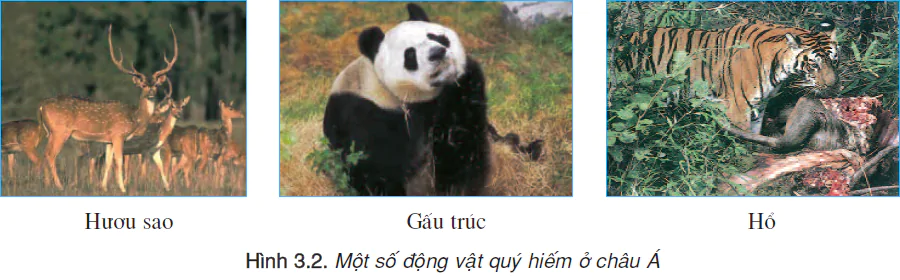 hinh-anh-bai-3-song-ngoi-va-canh-quan-chau-a-2449-1