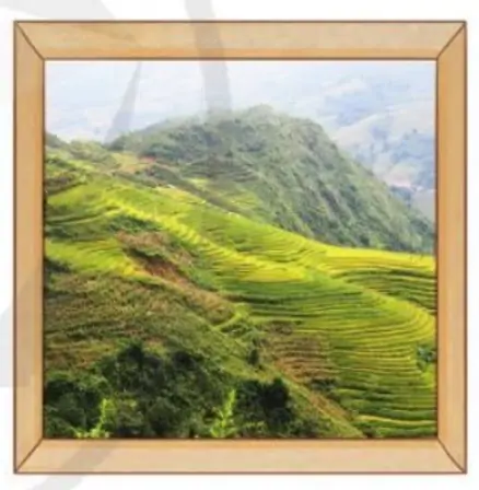 hinh-anh-em-on-lai-nhung-gi-da-hoc-2-1658-0