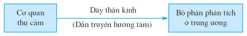 hinh-anh-bai-49-co-quan-phan-tich-thi-giac-2580-0