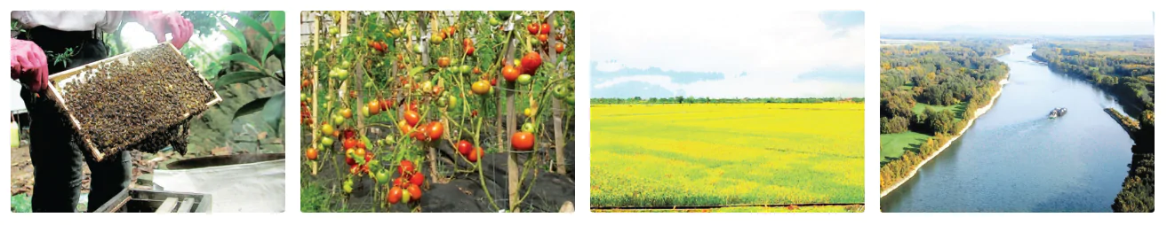 hinh-anh-communication-2260-0