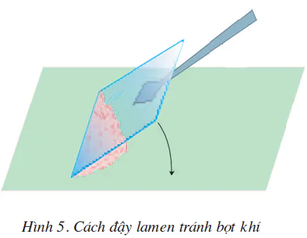 hinh-anh-bai-5-thuc-hanh-quan-sat-te-bao-va-mo-2496-0