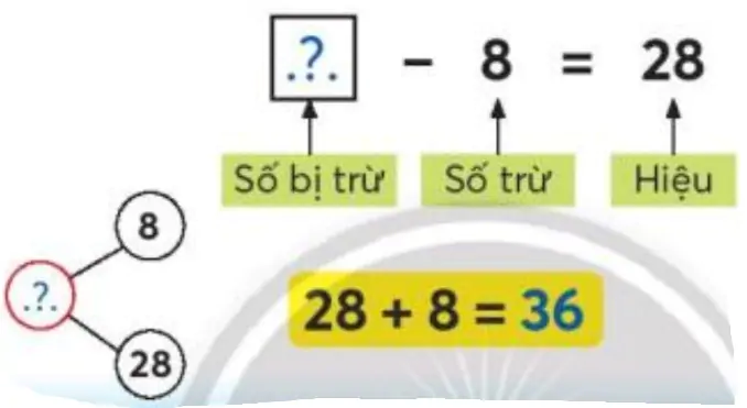 hinh-anh-tim-so-bi-tru-tim-so-tru-1716-1