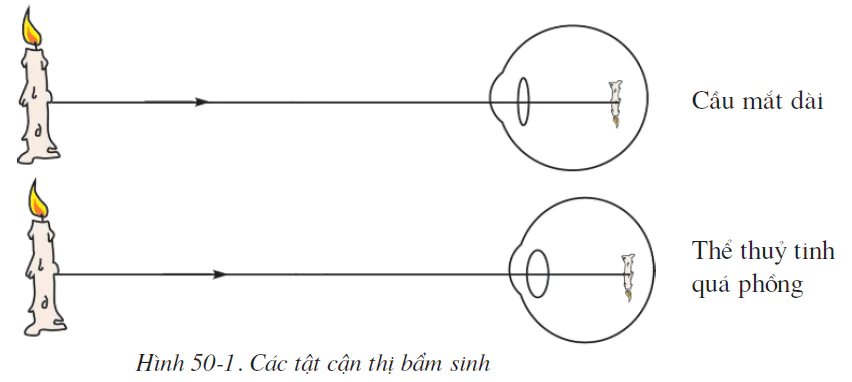 hinh-anh-bai-50-ve-sinh-mat-2585-0