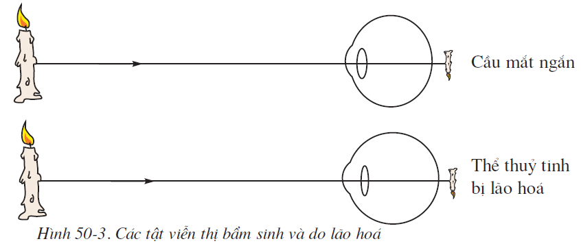 hinh-anh-bai-50-ve-sinh-mat-2585-2