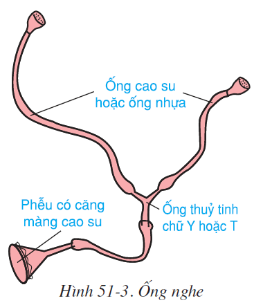 hinh-anh-bai-51-co-quan-phan-tich-thinh-giac-2586-2