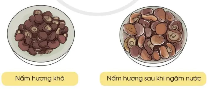 hinh-anh-on-tap-ve-hinh-hoc-va-do-luong-1183-4