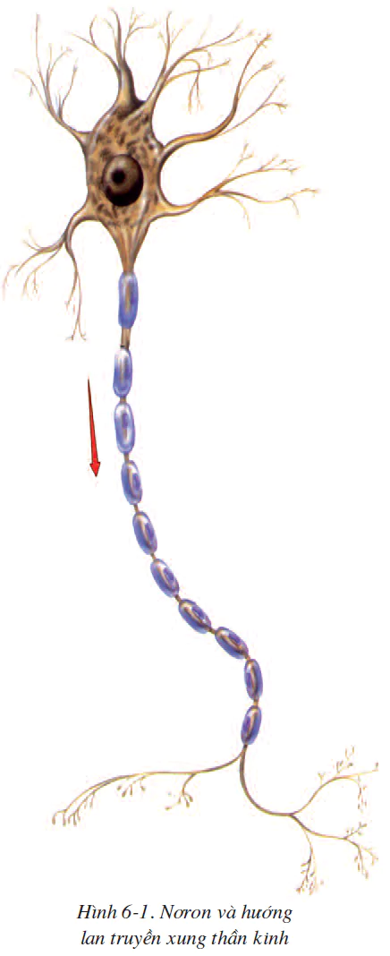 hinh-anh-bai-6-phan-xa-2497-0