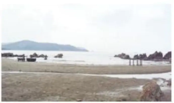 hinh-anh-em-lam-duoc-nhung-gi-1-1970-3