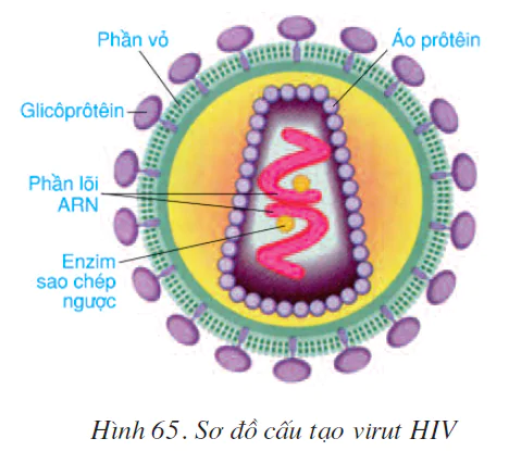 hinh-anh-bai-65-dai-dich-aids-tham-hoa-cua-loai-nguoi-2610-0