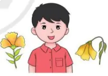 hinh-anh-bai-7-em-kham-pha-ban-than-722-5