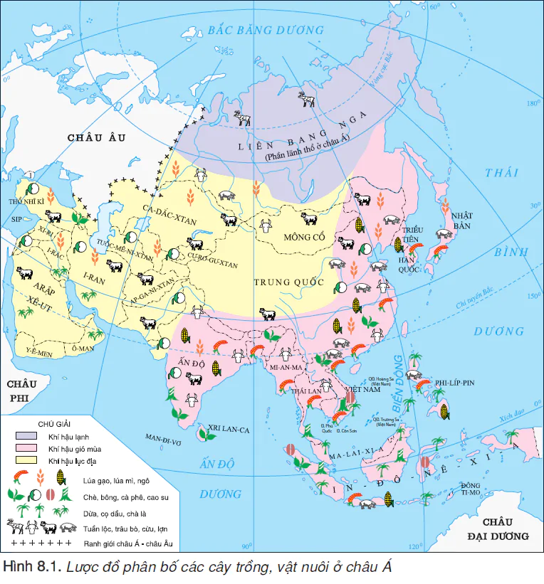 hinh-anh-bai-8-tinh-hinh-phat-trien-kinh-te-xa-hoi-o-cac-nuoc-chau-a-2454-0