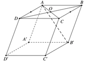 hinh-anh-cau-hoi-trac-nghiem-chuong-i-3777-13