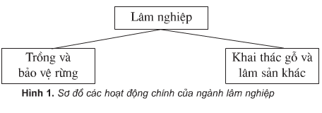 hinh-anh-bai-11-lam-nghiep-va-thuy-san-441-0 hinh-anh-bai-11-lam-nghiep-va-thuy-san-441-0