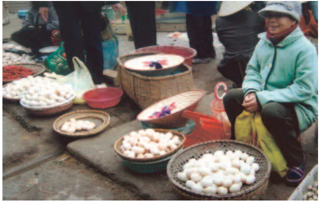 hinh-anh-bai-14-hoat-dong-san-xuat-cua-nguoi-dan-o-dong-bang-bac-bo-tiep-theo-882-8