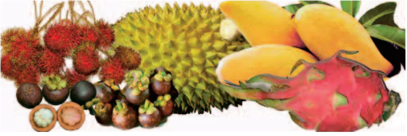 hinh-anh-bai-19-hoat-dong-san-xuat-cua-nguoi-dan-o-dong-bang-nam-bo-889-5