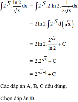 hinh-anh-on-tap-chuong-iii-3624-43